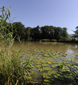 Wachtkopf-Rundweg | © Land der 1000 Hügel - Kraichgau-Stromberg