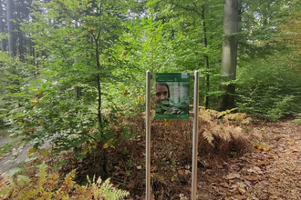 Waldbadepfad Assamstadt | © Liebliches Taubertal