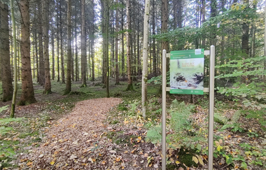Waldbadepfad Assamstadt | © Liebliches Taubertal