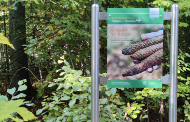 Waldbadepfad Assamstadt | © Liebliches Taubertal