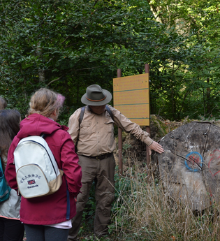Waldlehrpfad Röttingen | © Liebliches Taubertal
