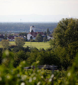 Waldpark-Rundkurs groß | © Land der 1000 Hügel - Kraichgau-Stromberg