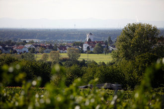 Waldpark-Rundkurs groß | © Land der 1000 Hügel - Kraichgau-Stromberg