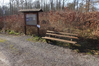 Waldpark-Rundkurs klein | © Outdooractive Redaktion