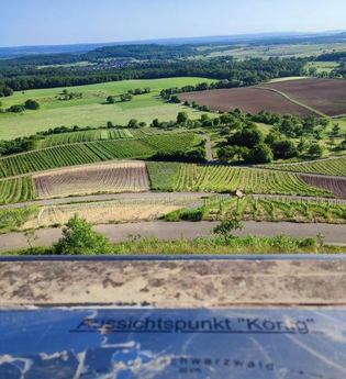 Wandern wo der König wächst | © Gemeinde Sternenfels