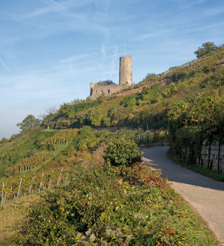 Wanderung von Dossenheim nach Schriesheim | © Landratsamt Rhein-Neckar-Kreis