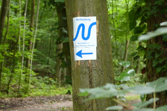 Wanderweg vom Schiffsanleger in Neckargemünd zum Dilsberg | © Landratsamt Rhein-Neckar-Kreis