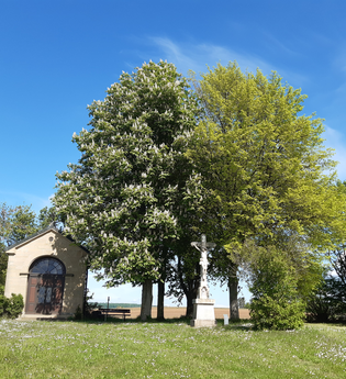 Johannes-Nepomuk-Kapelle in Eppingen-Rohrbach | © Stadtverwaltung Eppingen