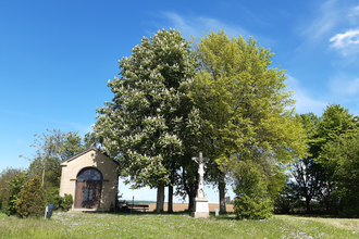 Johannes-Nepomuk-Kapelle in Eppingen-Rohrbach | © Stadtverwaltung Eppingen