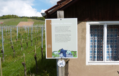 Wein- und Kloster-Rundweg | © Land der 1000 Hügel - Kraichgau-Stromberg