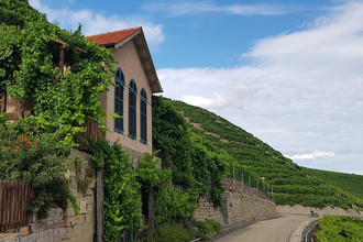Wein- und Obstwanderweg (Tour 6): Käsbergrundweg