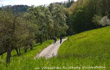Wein-Radreise 1. Etappe: Hohenloher Idylle | © Liebliches Taubertal