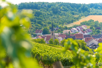 Wein-Radreise 4. Etappe: Gesundheit und Wein | © Liebliches Taubertal