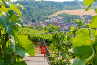 Wein-Radreise 5. Etappe: Wein im Rotsandstein | © Liebliches Taubertal