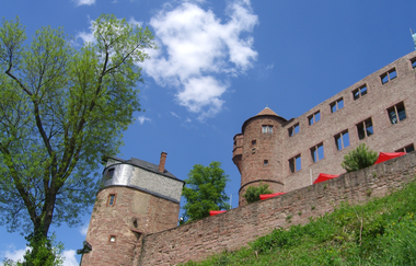 Wein-Radreise 7. Etappe: Zu den Mainburgen | © Sabine Münch