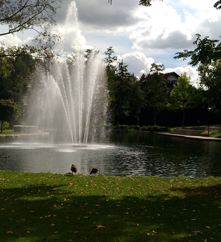 Weinberge, Panorama, Hohlwege: Rundweg Bad Schönborn - Zeutern | © Land der 1000 Hügel - Kraichgau-Stromberg