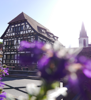 Weingartner Rundweg | © Land der 1000 Hügel - Kraichgau-Stromberg