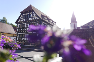 Weingartner Rundweg | © Land der 1000 Hügel - Kraichgau-Stromberg