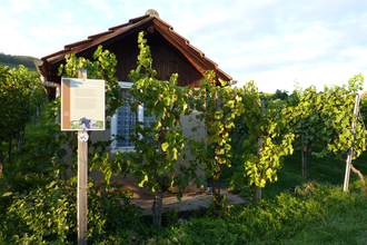 Weinlehrpfad Horrheim | © Land der 1000 Hügel - Kraichgau-Stromberg