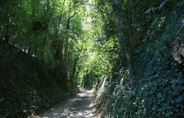 Weinpfad Kraichgau | © Stadtmarketing Kraichtal
