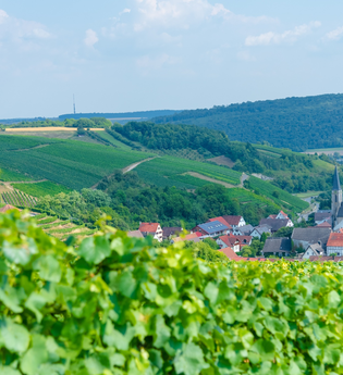 Weinstraße Taubertal | © Liebliches Taubertal