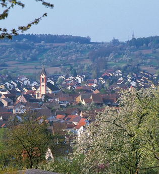 Weinwanderweg Kraichtal IVV- Besenhex (Kurz- und Langroute) | © Stadtmarketing Kraichtal