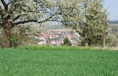 Weinwanderweg Kraichtal IVV- Besenhex (Kurz- und Langroute) | © Stadtmarketing Kraichtal
