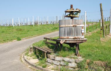Weinwanderweg Kraichtal IVV- Besenhex (Kurz- und Langroute)