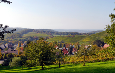 Wengertschützenrunde zum Sandberg und Schloßberg | © Land der 1000 Hügel - Kraichgau-Stromberg
