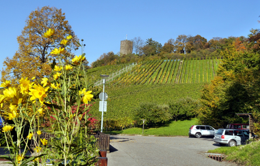 Wengertschützenrunde zum Sandberg und Schloßberg | © Land der 1000 Hügel - Kraichgau-Stromberg