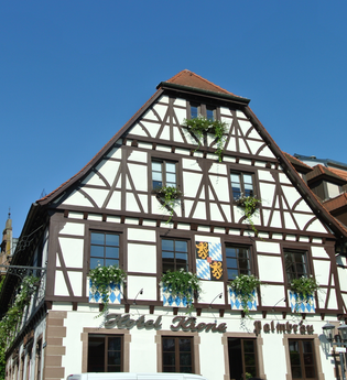 Wine & Bike - Rundtour ab Bretten | © Tourist-Info Bretten