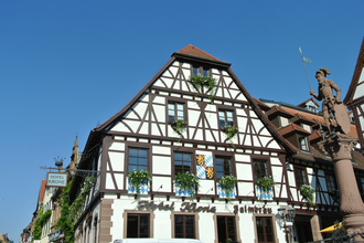 Wine & Bike - Rundtour ab Bretten | © Tourist-Info Bretten