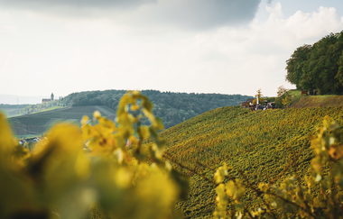 Wengertshüttles HeilbronnerLand | Kleines Raststationen in den Weinbergen | © Touristikgemeinschaft HeilbronnerLand