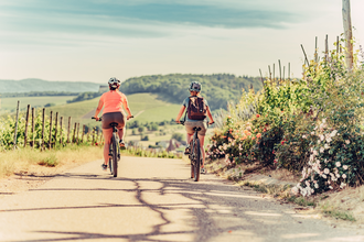 Wineflight Weinausschank Radtour Süd