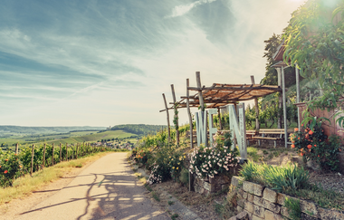 Weinausschank Zweifelberg Fotospot-Wein | Brackenheim im HeilbronnerLand | © Christian Frumolt | Touristikgemeinschaft HeilbronnerLand e.V.