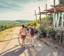 Weinausschank im Zweifelberg | Weinsüden Weinort Brackenheim | HeilbronnerLand | © Touristikgemeinschaft HeilbronnerLand