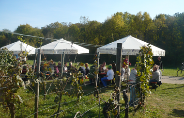 Weinhüttle Im Bühl - Weinausschank Privatkellerei Rolf Willy | HeilbronnerLand | © Privatkellerei Rolf Willy