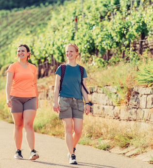 Wandern in den Zabergäuer Weinbergen | © Touristikgemeinschaft HeilbronnerLand e.V.