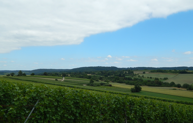 ZH2 - "Kleiner Panorama-Weg" durch Wald, Wein und Streuobstwiesen | © Land der 1000 Hügel - Kraichgau-Stromberg