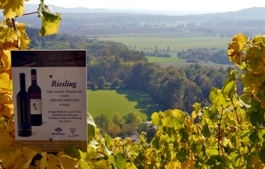 Zum Aussichtspunkt Sandberg | © Land der 1000 Hügel - Kraichgau-Stromberg