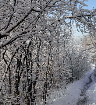 Zur Blankenhorn und nach Tripsdrill (Stromberg - Schwäbischer Wald) | © Land der 1000 Hügel - Kraichgau-Stromberg