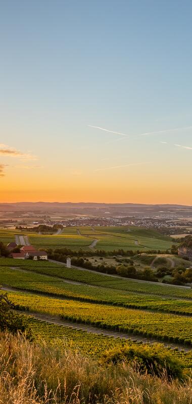 Cleebronner Weinberge und Tripsdrill im Sonnenuntergang | © Michael Mayer