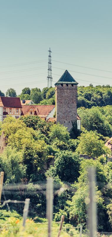 Schloss Liebenstein | © HeilbronnerLand | Frumolt