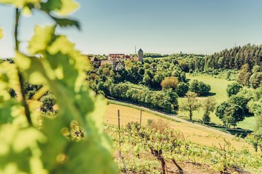 Blick auf Schloss Liebenstein durch die Weinberge | © HeilbronnerLand | Frumolt