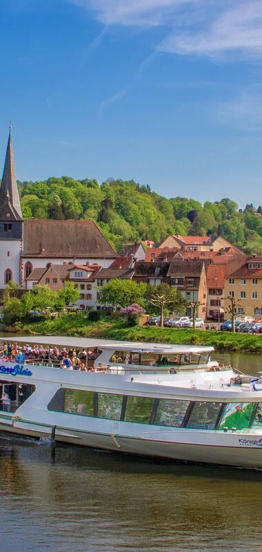 Fahrgastschiff auf dem Fluss vor der Stadt Neckargemünd mit historischen Gebäuden und bewaldeten Hügeln im Hintergrund. | © Stadt Neckargemünd, Foto Jens Hertel