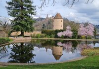 Blick im Schlossgarten Weinheim auf einen runden Turm mit Ziegeldach, blühende Bäume und die Burgen im Hintergrund, Spiegelung im Wasserbecken im Vordergrund | © Stadt Weinheim, Foto Cornelia Eichner