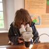 Person mit mittellangen braunen Haaren blickt durch ein Mikroskop auf einem Tisch mit Modell und Beleuchtung im Naturparkzentrum im Talheim´sche Haus | © Landratsamt Rhein-Neckar-Kreis; Foto Dorothea Burkhardt