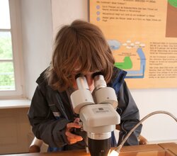Person mit mittellangen braunen Haaren blickt durch ein Mikroskop auf einem Tisch mit Modell und Beleuchtung im Naturparkzentrum im Talheim´sche Haus | © Landratsamt Rhein-Neckar-Kreis; Foto Dorothea Burkhardt