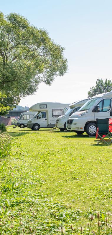 Mehrere Wohnmobile stehen auf einer Wiese neben einem Fluss, im Hintergrund ein großer Baum und Hügel. | © Landratsamt Rhein-Neckar-Kreis, Foto Dorothea Burkhardt