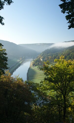 Blick auf das Neckartal bei Eberbach mit Fluss, bewaldeten Hügeln und Nebel in der Ferne, eingerahmt von Baumkronen im Vordergrund | © Ladratsamt Rhein-Neckar-Kreis